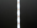 Adafruit DotStar LED Strip - Addressable Cool White-30 LED/m 3m