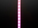Adafruit DotStar Digital LED Strip - White 60 LED - Per Meter 2m
