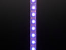 Adafruit DotStar Digital LED Strip - Black 60 LED - Per Meter 3m