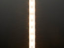 Analog RGBW LED Strip - RGB plus Warm White - 60 LED/m 1m