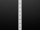 Analog RGBW LED Strip - RGB plus Cool White - 60 LED/m 2m