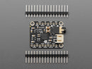 Adafruit TLV320DAC3100 - I2S DAC with Headphone and Speaker Out