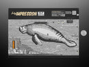 Pimoroni Inky Impression for Raspberry Pi – 13.3"