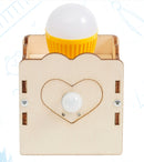 DIY - Human Body Induction Light Kits for School