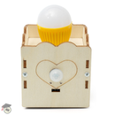 DIY - Human Body Induction Light Kits for School