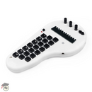 Minichord Synthesizer