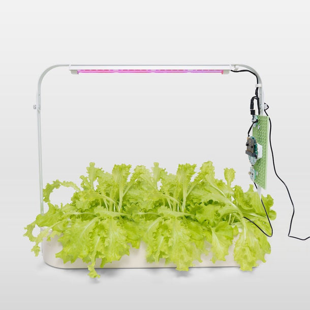 Smart Hydroponics Kit