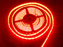 Flexible LED Strip - Red - Buy - Pakronics®- STEM Educational kit supplier Australia- coding - robotics