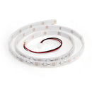 LED RGB Strip-Addressable, Sealed(1M) - Buy - Pakronics®- STEM Educational kit supplier Australia- coding - robotics