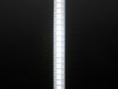 Adafruit DotStar LED Strip - Cool White - 144 LED/m