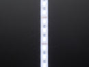 Analog RGBW LED Strip - RGB plus Cool White - 60 LED/m - Buy - Pakronics®- STEM Educational kit supplier Australia- coding - robotics
