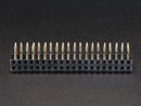 0.1\" 2x20-pin Strip Right Angle Female Header