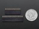 Header Kit for Feather - 12-pin and 16-pin Female Header Set