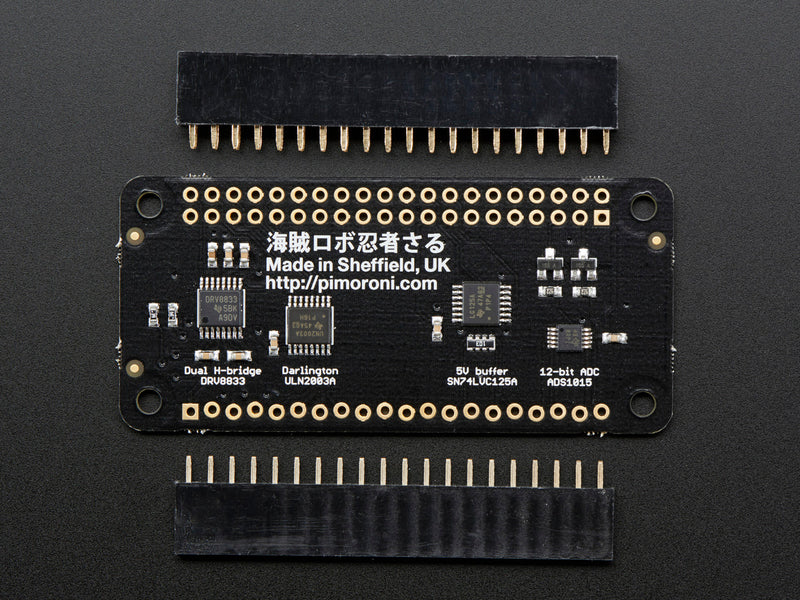 Pimoroni Explorer pHAT for Raspberry Pi Zero