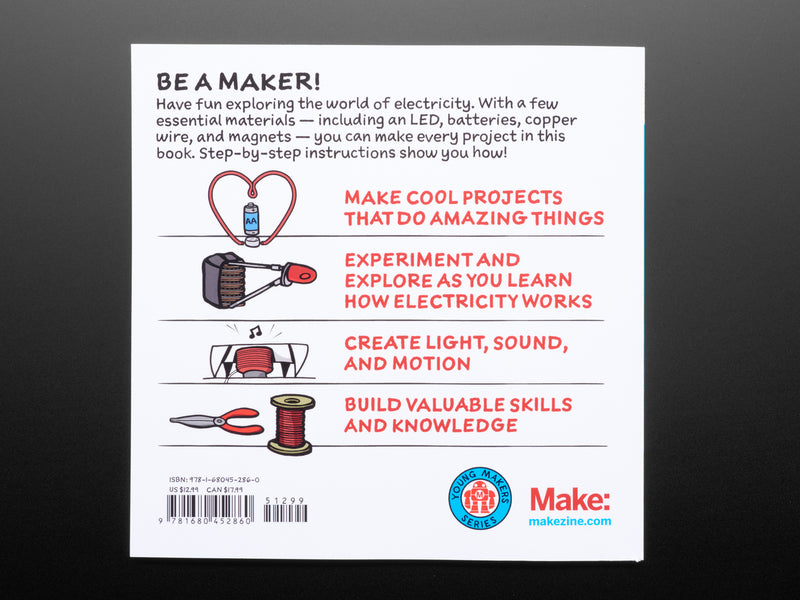 Electricity for Young Makers: Fun & Easy Do-It-Yourself Projects