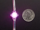 Adafruit NeoPixel LED Dots Strand - 20 LED 4\" Pitch