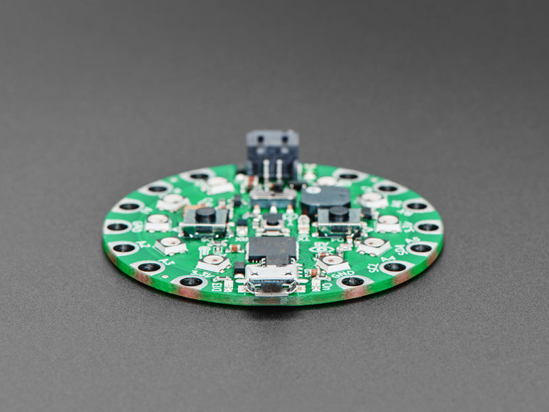 Circuit Playground Express for 4-H