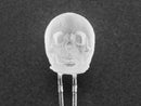 dLUX-dLITE Cool White Skull Shape LEDs 5 Pack by Unexpected Labs