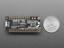 Adafruit Floppy FeatherWing with 34-Pin IDC Connector
