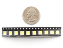 SMT Cool White 5050 LED - 10 pack
