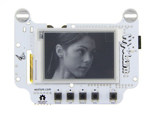 BADGEr_v4 - Buy - Pakronics®- STEM Educational kit supplier Australia- coding - robotics
