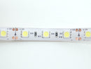 Cool White LED Weatherproof Flexi-Strip 60 LED - (1 m) - Buy - Pakronics®- STEM Educational kit supplier Australia- coding - robotics