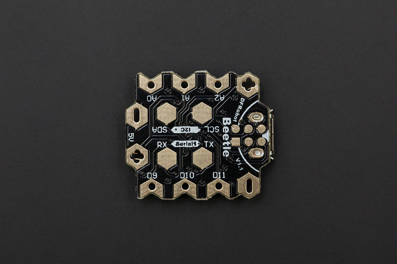 Beetle (1Pc) - Buy - Pakronics®- STEM Educational kit supplier Australia- coding - robotics