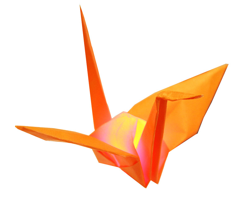 Teknikio Bundle - Activating Origami - Buy - Pakronics®- STEM Educational kit supplier Australia- coding - robotics
