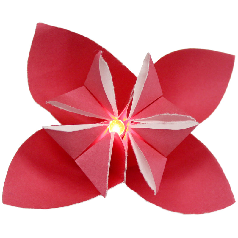 Teknikio Bundle - Activating Origami - Buy - Pakronics®- STEM Educational kit supplier Australia- coding - robotics